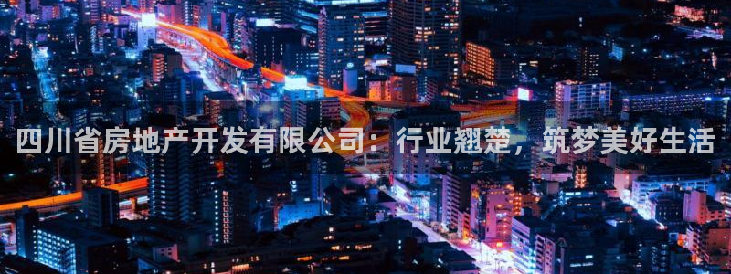 永利有限责任公司