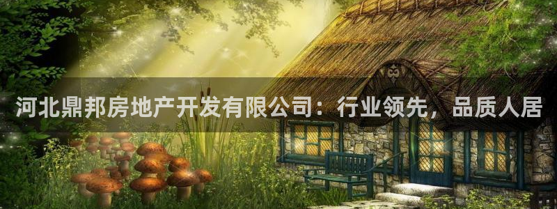 永利皮带型号说明书图片