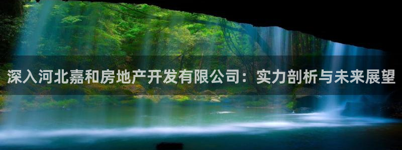 永利输的钱可以弄回来吗