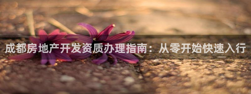 永利官网总站入口在哪