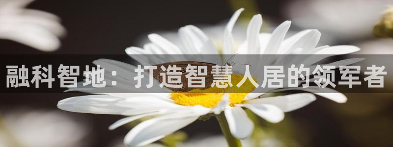 永利工艺品有限公司