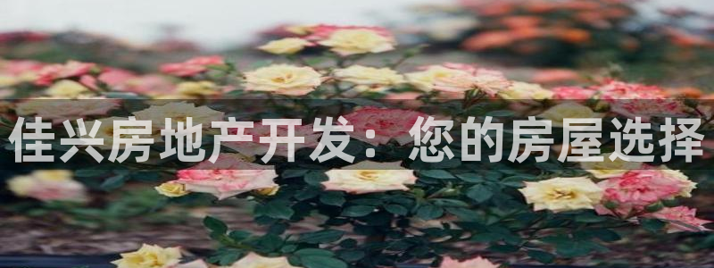 永利网会员
