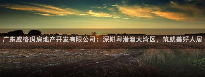 永利中国集团