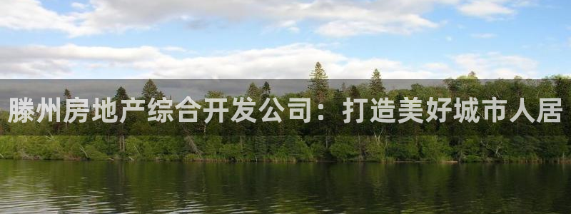 浙江永利集团董事长