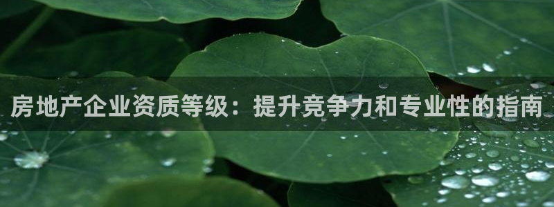 永利会员几个等级