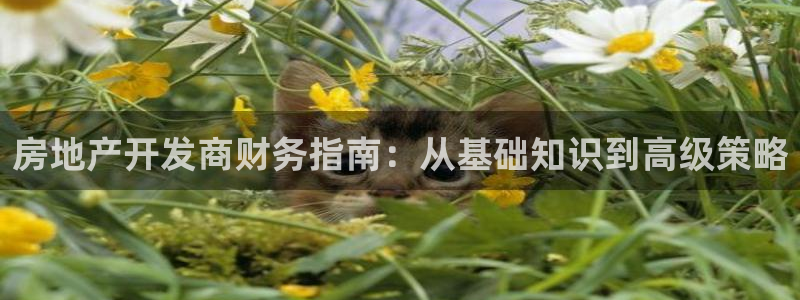 永利皮具厂
