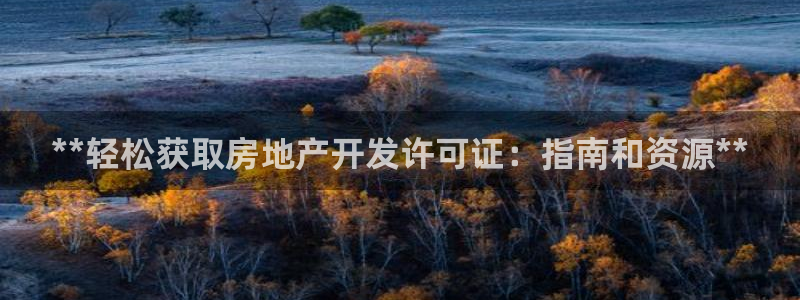 滨州永利篮球俱乐部老板