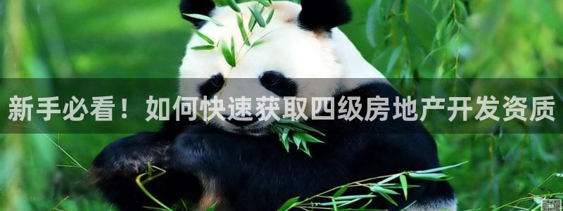 绍兴永利集团董事长