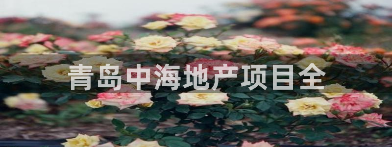 永利房地产开发有限公司总经理