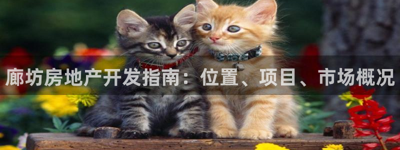 永利官网