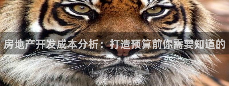 永利总裁