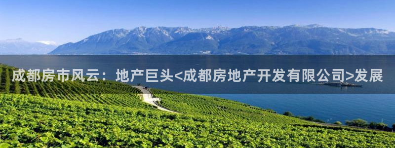 永利汇团购