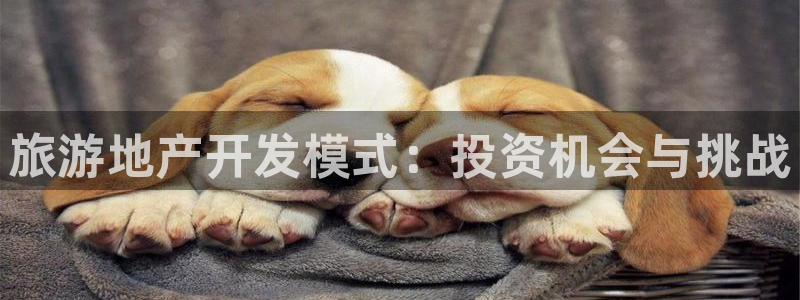 永利皮带型号说明书图片