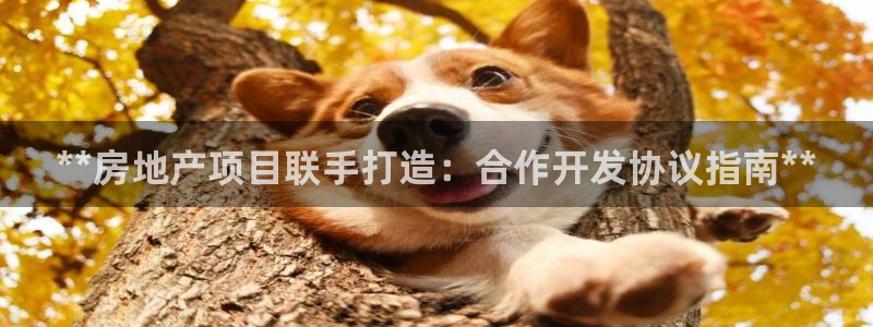 永利宝高管