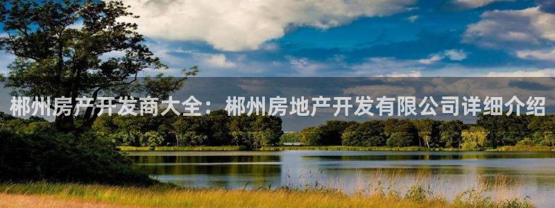 永利汇有什么服务