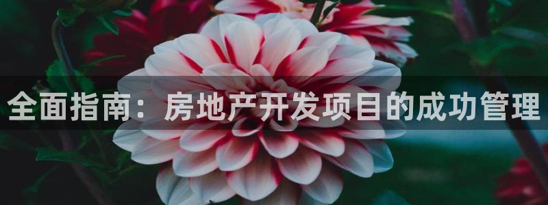 永利制带
