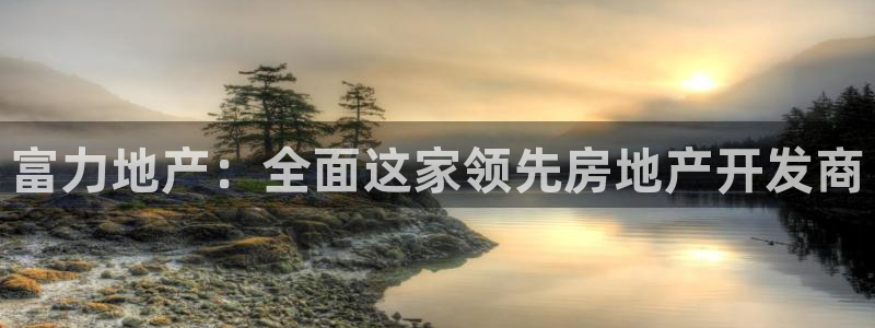 永利保险公司介绍
