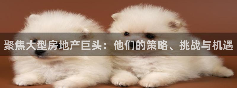 永利集团简介及地址