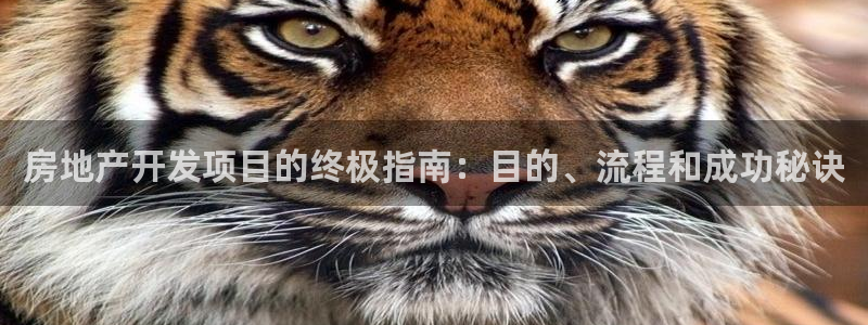 永利网是不是真的假的