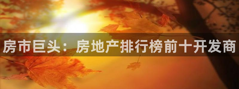永利橡胶有限公司
