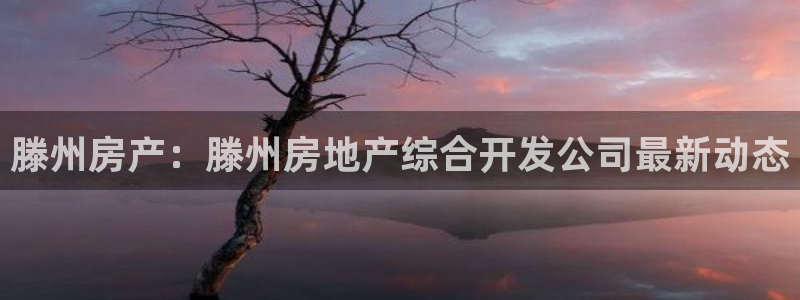 永利汇有什么服务