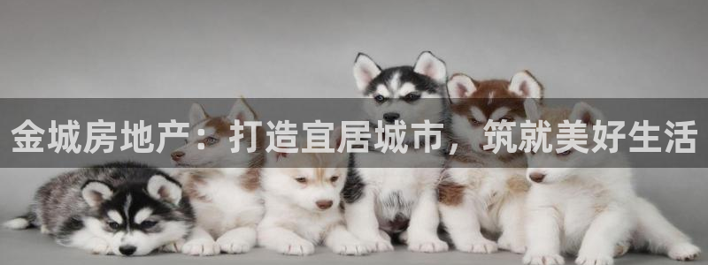 永利中国总裁