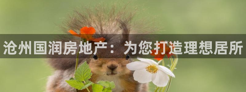永利汇有什么服务