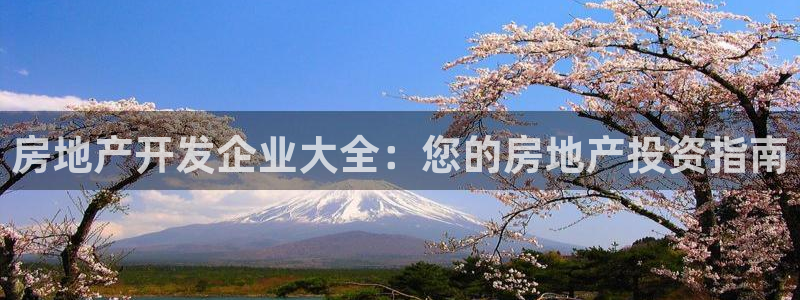 永利保险公司介绍