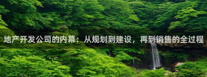 永利表行为什么那么便宜