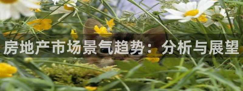 滨州市永利汽车销售服务有限公司