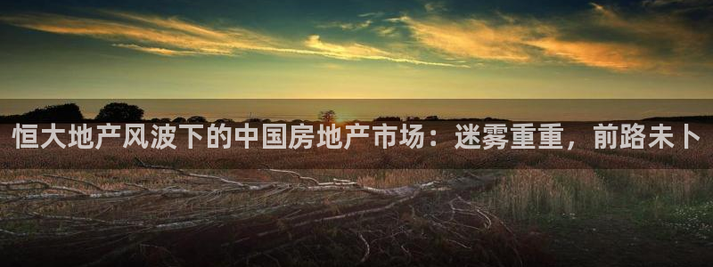 苏州金沙永利怎么样
