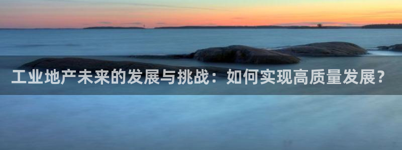 永利黄府黄立青信鸽图片