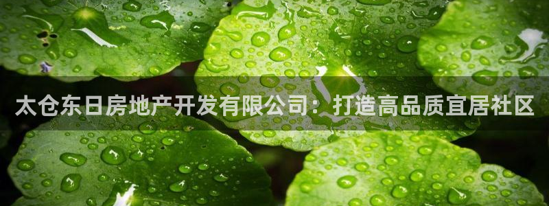 绍兴永利集团董事长