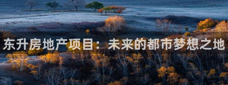 永利制衣