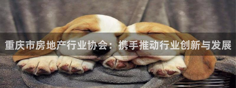 永利服装厂