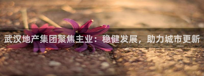 永利官网总站入口在哪