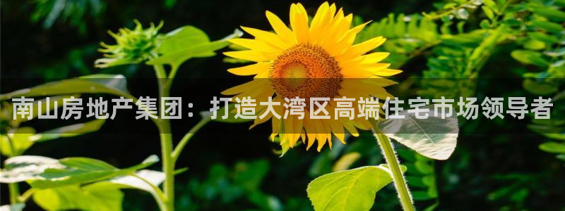 佛山永利实业有限公司
