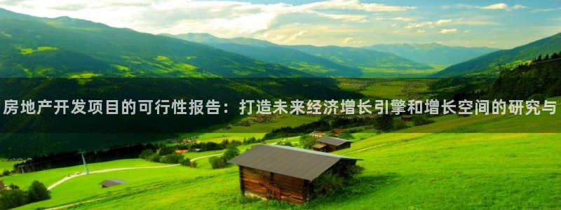 永利皮带报价