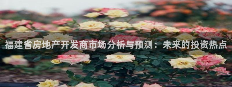 永利带业怎么样