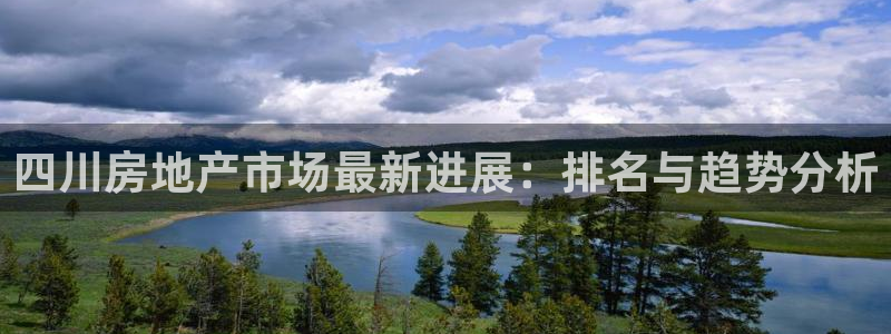 永利保险公司介绍
