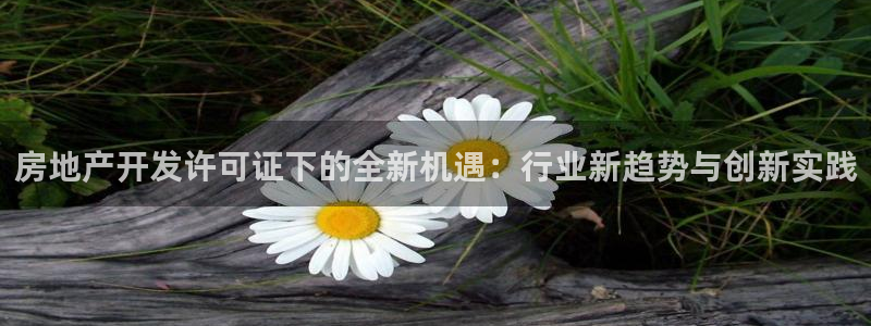 永利睹钱
