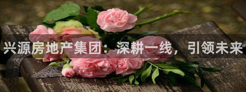 永利皇府黄立青简历