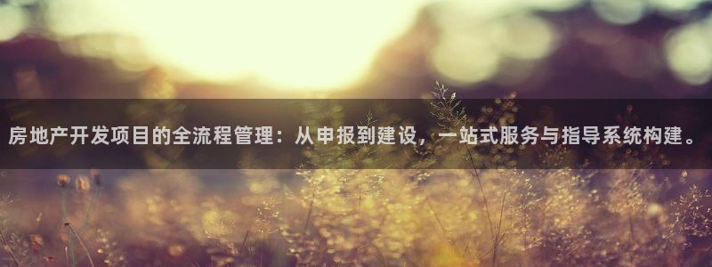 浙江永利集团董事长